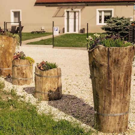 Apartament Pod Lasem Lägenhet Oldrzychowice Klodzkie Exteriör bild